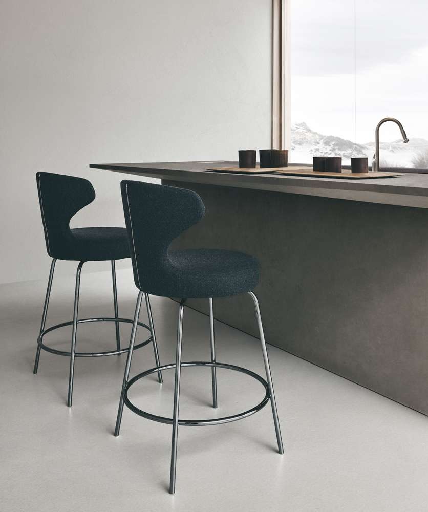 Papilio sgabelli 01 Papilio sgabelli 01