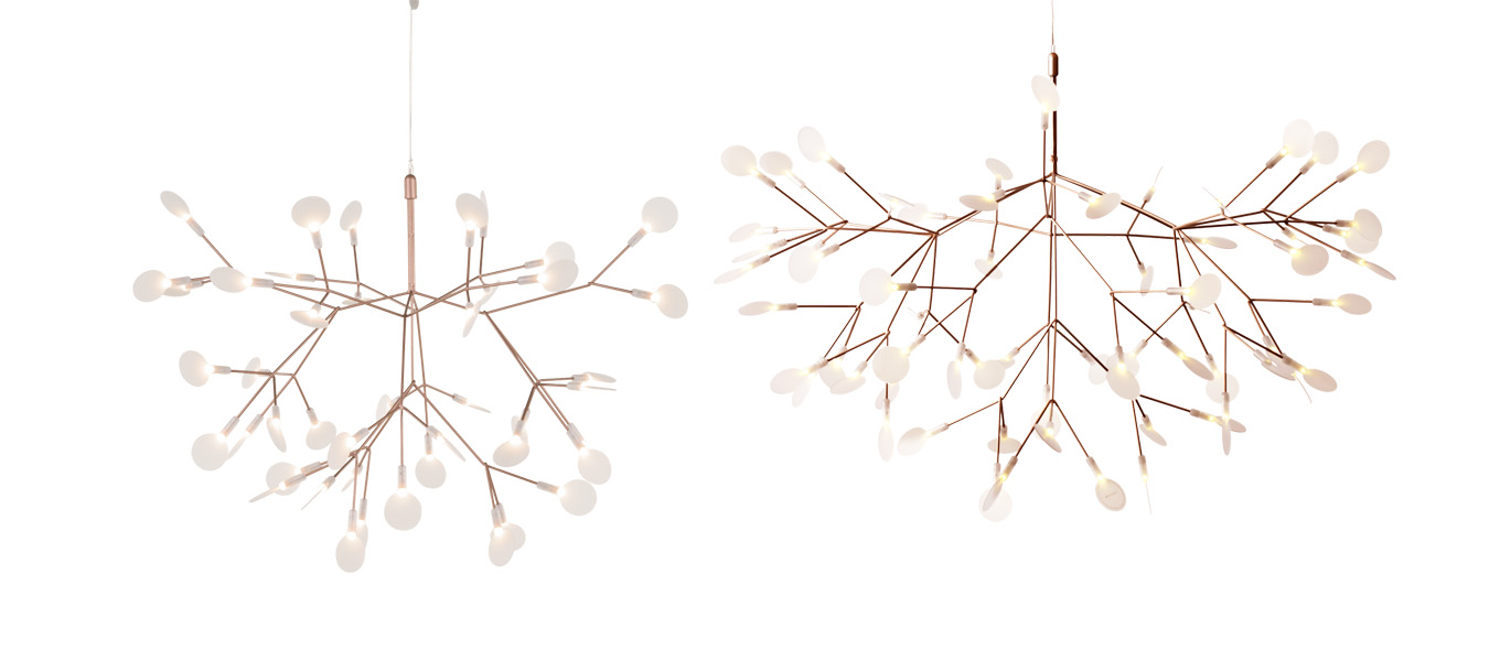 Heraclium bronzed Heraclium bronzed