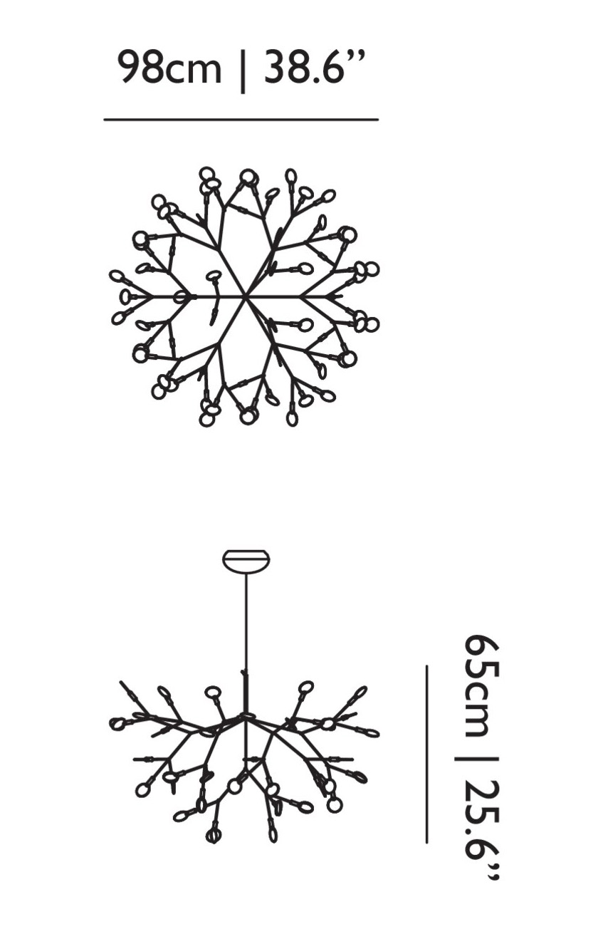 heracleum II heracleum II